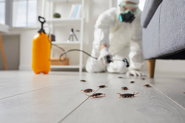 Commercial Kitchen Cockroach Control in Laurence Harbor